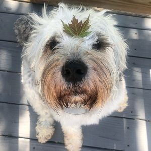 Meet your Posher, Madelyn